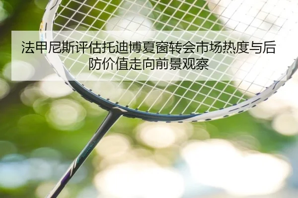 法甲尼斯评估托迪博夏窗转会市场热度与后防价值走向前景观察